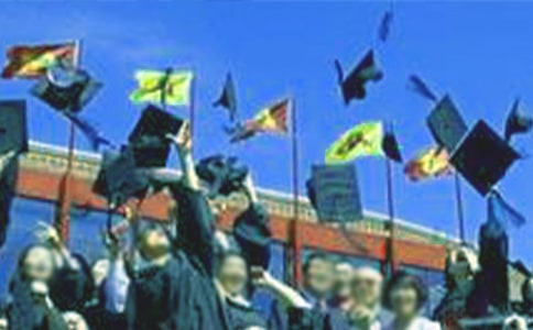 畢業(yè)設計總結【合集15篇】