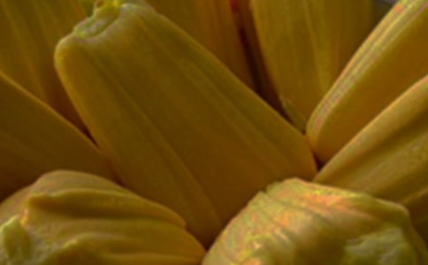 好吃的菠蘿蜜作文