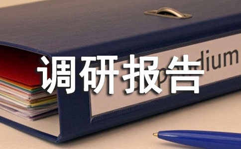 產(chǎn)品調(diào)研報告范文