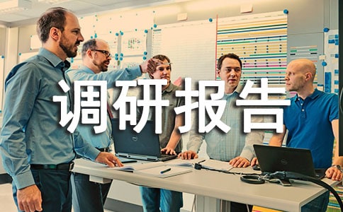 人才隊(duì)伍建設(shè)調(diào)研報(bào)告