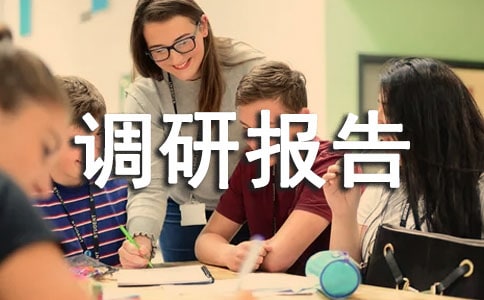 行業(yè)企業(yè)調(diào)研報告