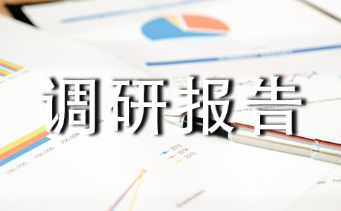 企業(yè)調(diào)研報(bào)告14篇
