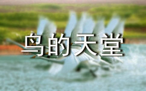 鳥的天堂作文
