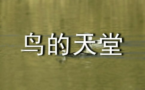 鳥的天堂作文