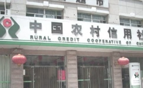 農(nóng)村信用社述職報(bào)告（通用6篇）