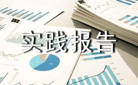 寒假補課社會實踐報告（通用8篇）