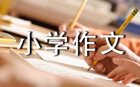 實(shí)用的美麗小學(xué)作文300字3篇