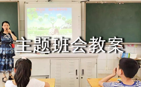 少先隊(duì)標(biāo)志禮儀規(guī)范主題班會(huì)教案（通用13篇）
